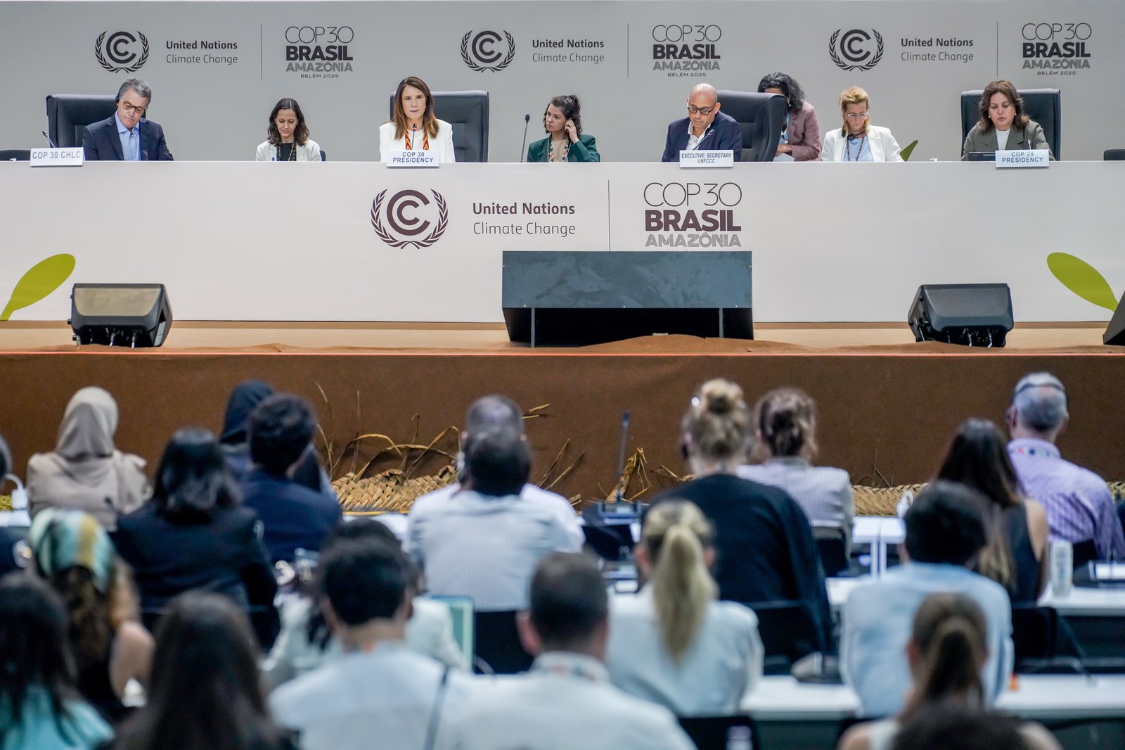 le programme d’action accélère les progrès sur 117 solutions et dynamise la vision mondiale renouvelée à Belém et au-delà.